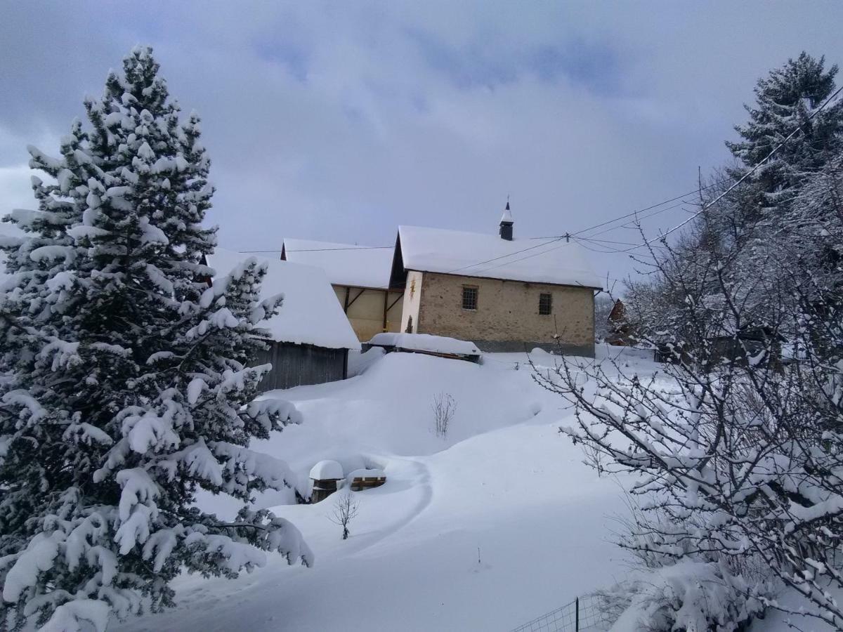 Bel Appartement Au Rez De Chaussee D'Un Chalet Jarrier Ngoại thất bức ảnh